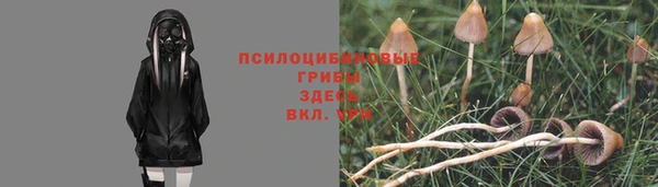 ПСИЛОЦИБИНОВЫЕ ГРИБЫ Алексин