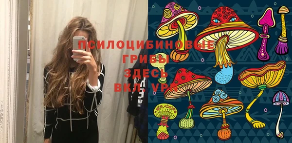 ПСИЛОЦИБИНОВЫЕ ГРИБЫ Алексин