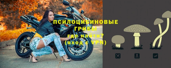 прущие крисы Алзамай