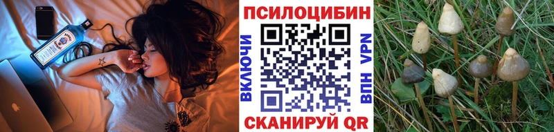 Псилоцибиновые грибы ЛСД  закладки  Кемерово 